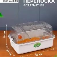 Клетка для грызунов с наполнением &laquo;Пижон&raquo;, 33&times;21&times;19 см, прозрачная, белая