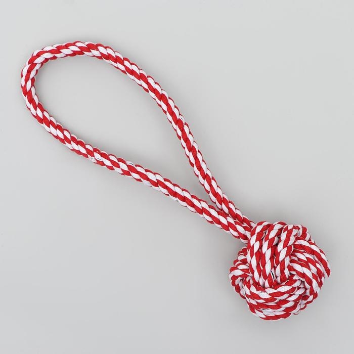 Игрушка тренировочная канатная Игрушка тренировочная канатная "Булава", шарик 7-7,5 см, до 100 г