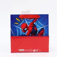 Пакет подарочный &laquo;Супергерой&raquo;, 22 &times; 22 &times; 10 см