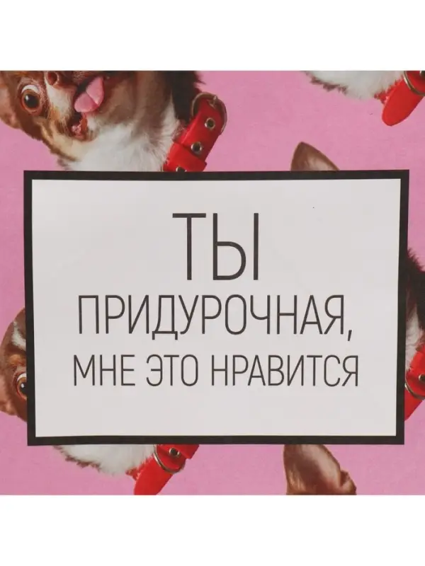 Пакет подарочный, упаковка, &laquo;Киса&raquo;, 22&times;22&times;11 см