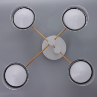 Люстра 1852/4 LED 64Вт 3000-6000К серо-золотой 65х65х17 см BayerLux