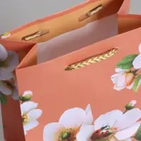 Пакет подарочный ламинированый "Гармония" 11,5 х 14,5 х 6,5 см