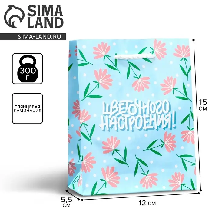 Пакет подарочный ламинированный, упаковка, «Цветочного настроения», S 12 х 15 х 5.5 см Пакет подарочный ламинированный, упаковка, «Цветочного настроения», S 12 х 15 х 5.5 см