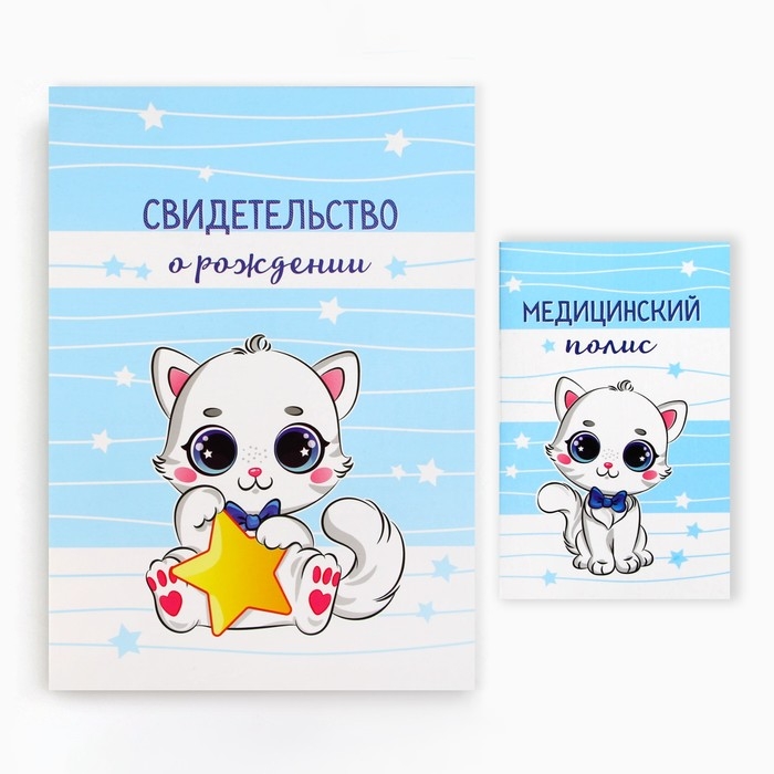 Папка для документов набор «Мои первые документы», 23,5 х 31,3 см Папка для документов набор «Мои первые документы», 23,5 х 31,3 см