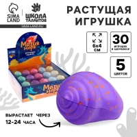 Растущие игрушки «Магия моря», МИКС