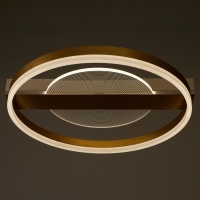 Люстра с ПДУ 1343/2 LED 100Вт 3000-6000К золото 52х50х9 см BayerLux