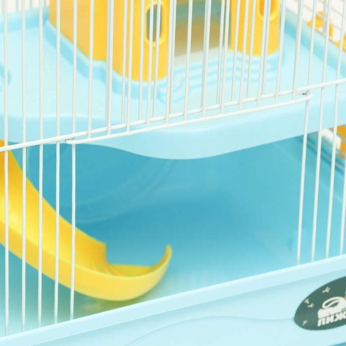 Клетка для грызунов Клетка для грызунов "Пижон" с замком, 31 х 24 х 27 см, голубая