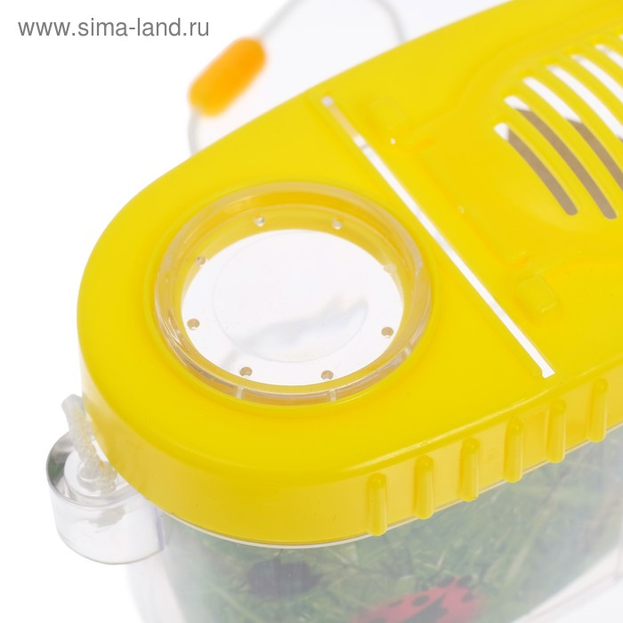 Набор для исследования «Юный биолог», пинцет, лупа, баночка для насекомых Набор для исследования «Юный биолог», пинцет, лупа, баночка для насекомых