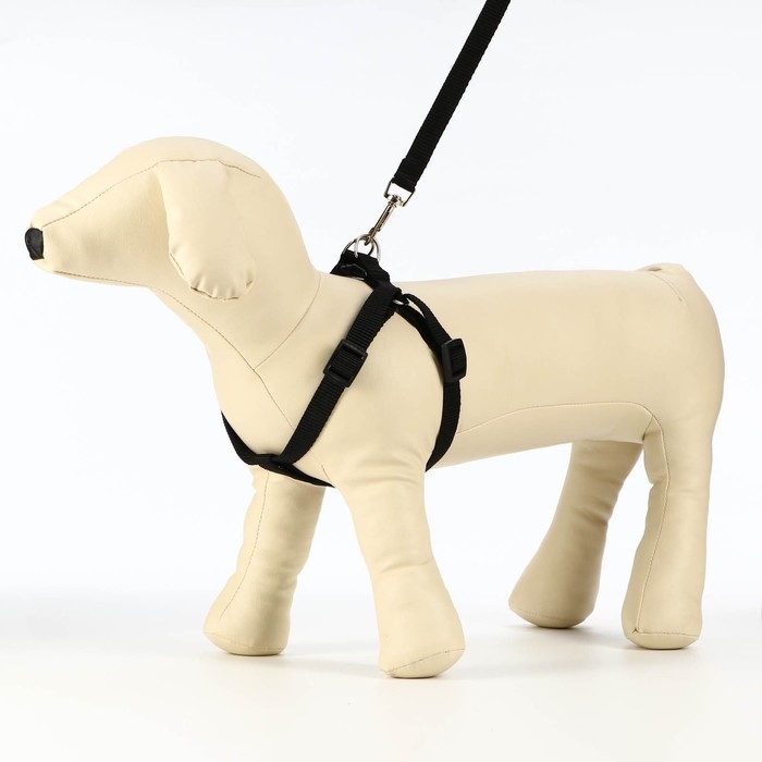 Комплект  Комплект "Базис", поводок 120 х 1,5 см, шлейка 32-46 х 1,5 см, чёрный