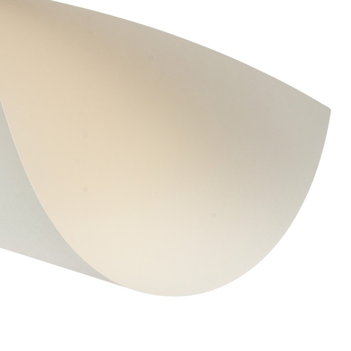 Папка для пастели А3, 297 х 420 мм, 20 листов, тонированная бумага, слоновая кость, ГОЗНАК  Папка для пастели А3, 297 х 420 мм, 20 листов, тонированная бумага, слоновая кость, ГОЗНАК "Скорлупа", блок 200 г/м²