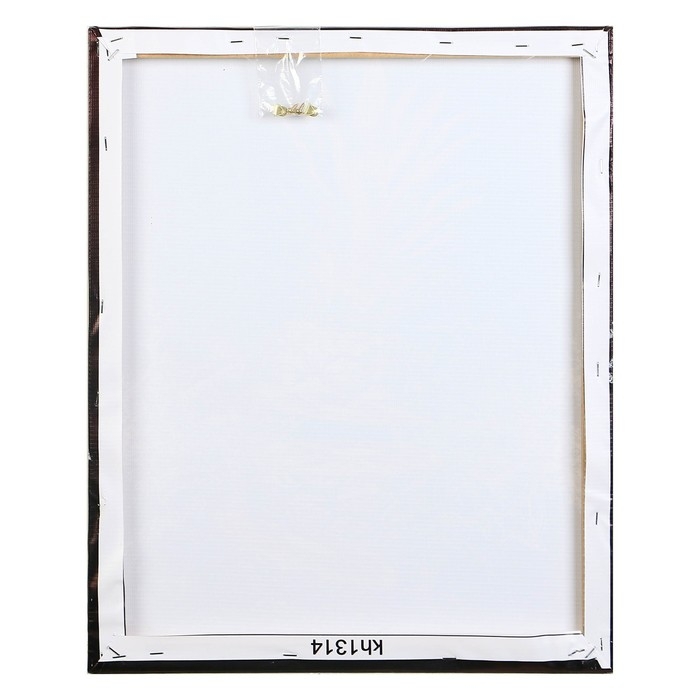 Картина на холсте  Картина на холсте "Освежающий фрукт" 40*50 см