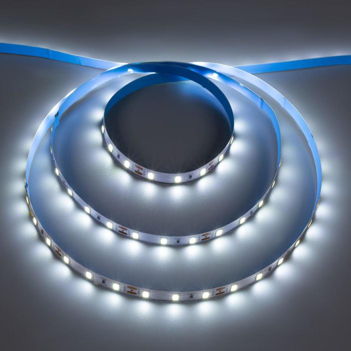 Светодиодная лента Ecola PRO 5 м, IP20, SMD2550, 60 LED/м, 19 Вт/м, 12 В, 6000К Светодиодная лента Ecola PRO 5 м, IP20, SMD2550, 60 LED/м, 19 Вт/м, 12 В, 6000К