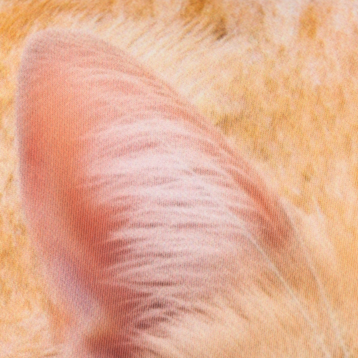 Подушка антистресс, кот Подушка антистресс, кот "Рыжик"