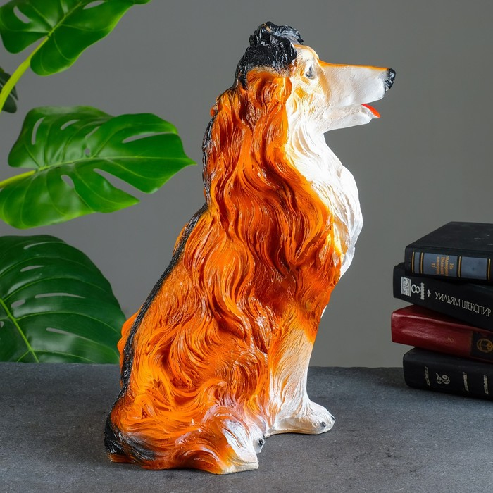 Копилка  Копилка "Колли" 38х28х20см