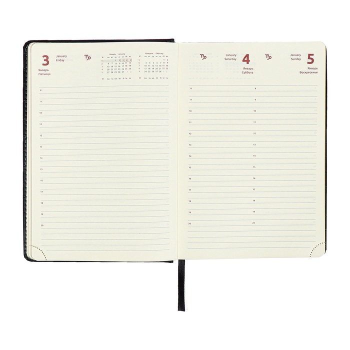 Ежедневник датированный 2024 A5 176 листов, deVENTE.Wild, твёрдая обложка из искусственной кожи, золотой срез, ляссе, кремовый блок 70 г/м2, чёрный