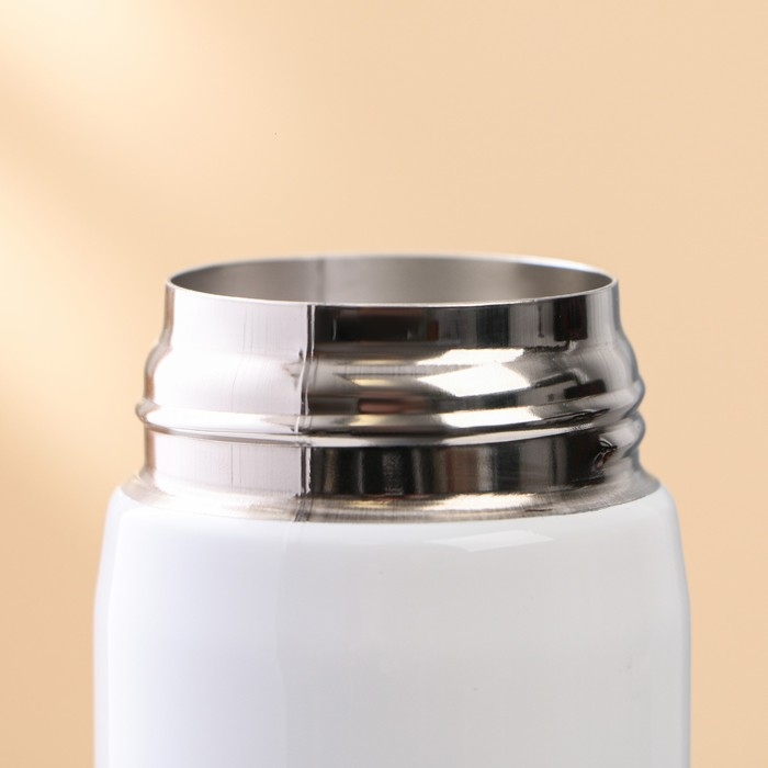 Термос «Счастье в мелочах», 350 мл, время сохранения тепла 6-8 ч Термос «Счастье в мелочах», 350 мл, время сохранения тепла 6-8 ч