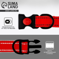 Ошейник с подкладом из нейлона с фастексом 2,5 см, ОШ 31-48 см, красный
