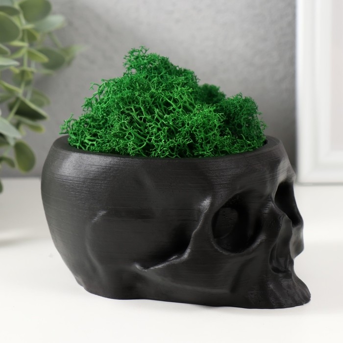 Кашпо бетонное Кашпо бетонное "Череп" со мхом черный 13х9х6,5 см (мох зеленый стабилизированный)