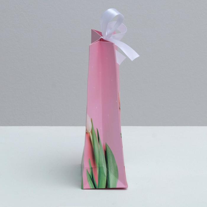 Пакет подарочный с лентой, упаковка, «Самой прекрасной», 13 х 23 х 7 см Пакет подарочный с лентой, упаковка, «Самой прекрасной», 13 х 23 х 7 см