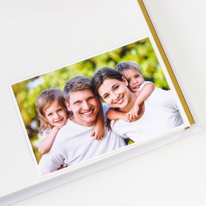 Фотоальбом 50 магнитных листов (100стр) Фотоальбом 50 магнитных листов (100стр) "Веточка" 23х28 см