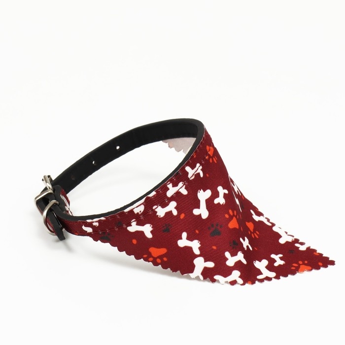 Ошейник с косынкой Ошейник с косынкой "Яркая жизнь", 32 х 1 см, бордовый