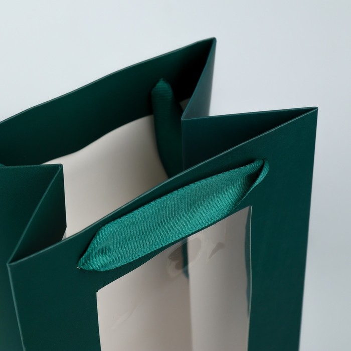 Пакет подарочный под бутылку, упаковка, «Present», 36 х 13 х 10 см Пакет подарочный под бутылку, упаковка, «Present», 36 х 13 х 10 см