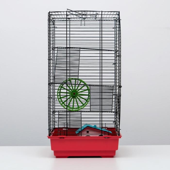 Клетка для грызунов Клетка для грызунов "Пижон" №5, с 3 этажами, укомплектованная, 41 х 30 х 58 см, рубиновая