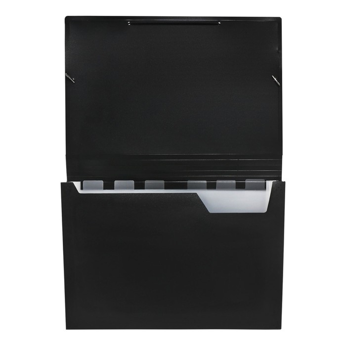 Папка картотека А4, Calligrata, 6 отделений, пластиковая, 700 мкм, чёрная Папка картотека А4, Calligrata, 6 отделений, пластиковая, 700 мкм, чёрная