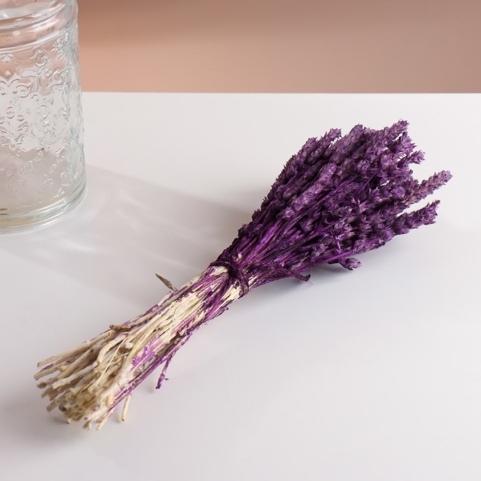 Набор сухоцветов Набор сухоцветов "Железница", банч длина 35 (+/- 6 см), сливовый