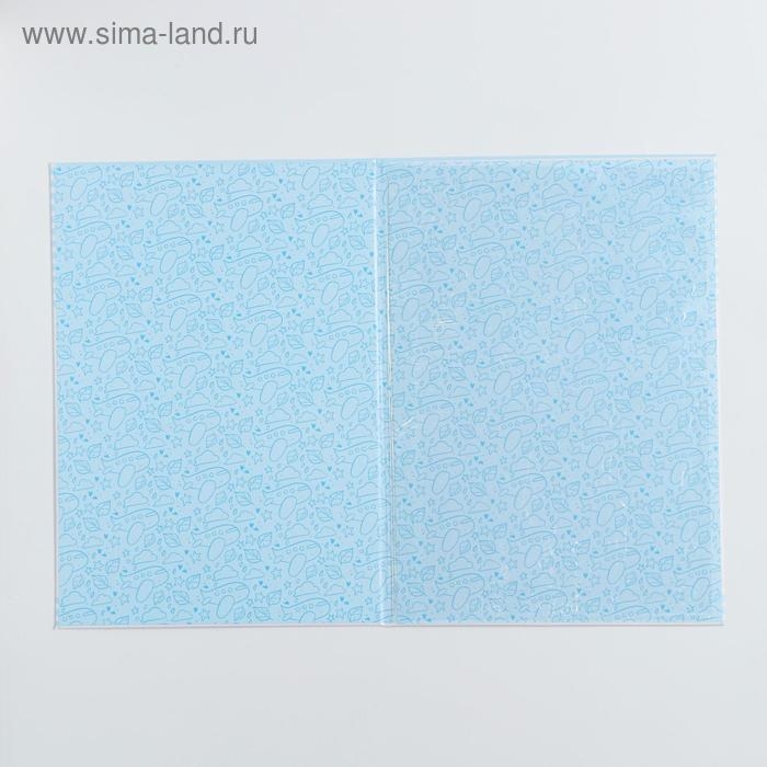 Папка для свидетельства о рождении для мальчика «Кошечка», А4