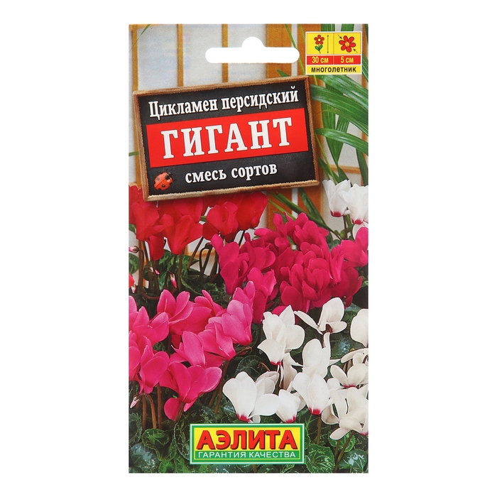 Цикламен персидский Гигант, смесь сортов ---3 шт.   Мн Цикламен персидский Гигант, смесь сортов ---3 шт.   Мн