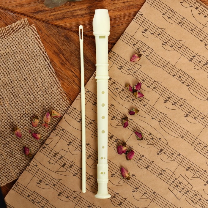 Блокфлейта Music Life, бежевая, немецкая система, сопрано, 30 см Блокфлейта Music Life, бежевая, немецкая система, сопрано, 30 см