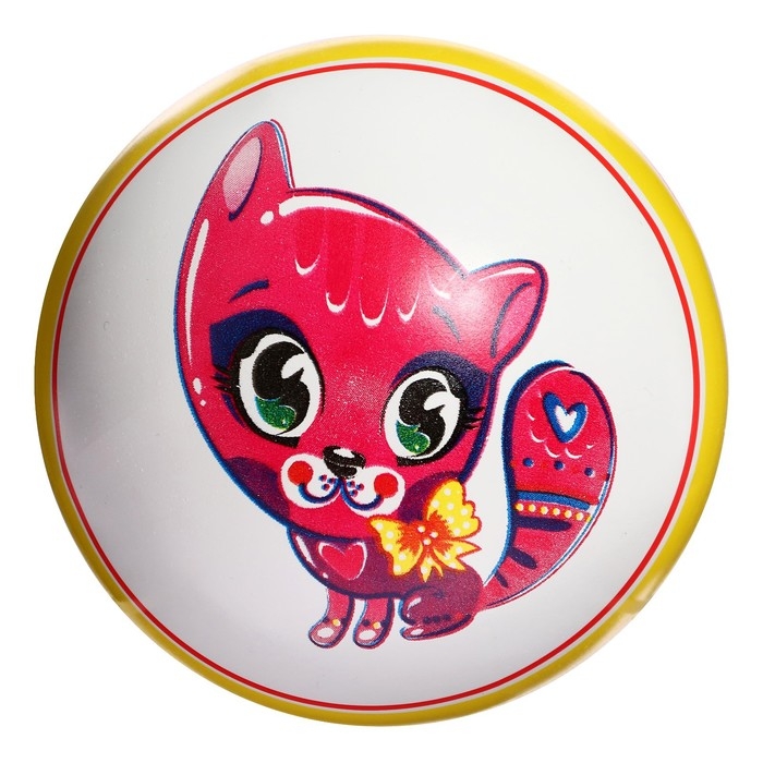 Мяч резиновый, с рисунком, диаметр 12,5 см, цвета МИКС Мяч резиновый, с рисунком, диаметр 12,5 см, цвета МИКС