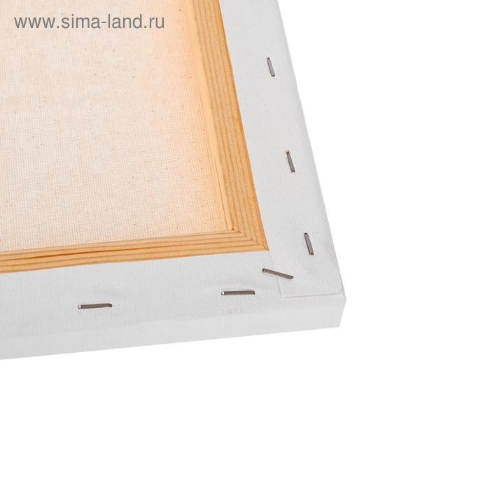 Холст на картоне 50 х 60 см, хлопок 100%, 2 мм, акриловый грунт, АКВАРЕЛЬНЫЙ, мелкозернистый, Гамма Холст на картоне 50 х 60 см, хлопок 100%, 2 мм, акриловый грунт, АКВАРЕЛЬНЫЙ, мелкозернистый, Гамма "Московская палитра"