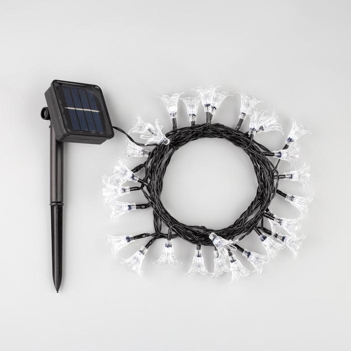 Гирлянда «Нить» 4.5 м с насадками «Цветы», IP44, тёмная нить, 30 LED, свечение жёлтое/аквамарин, 2 режима, солнечная батарея Гирлянда «Нить» 4.5 м с насадками «Цветы», IP44, тёмная нить, 30 LED, свечение жёлтое/аквамарин, 2 режима, солнечная батарея