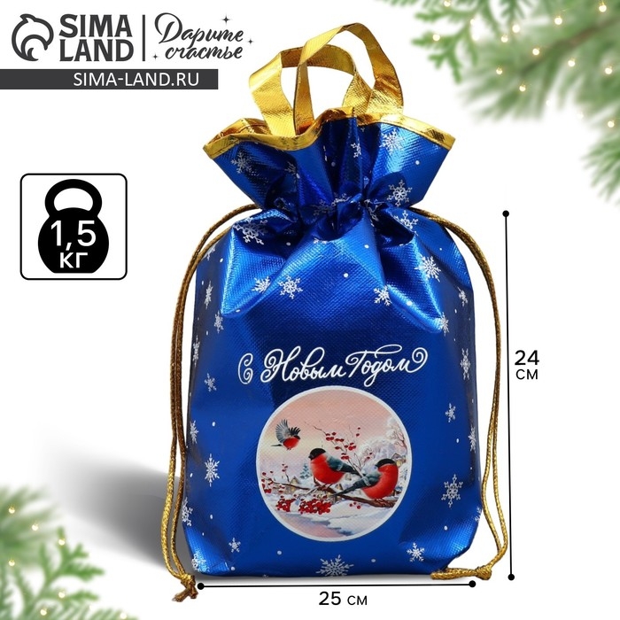 Пакет-мешок из нетканного материала «Поверь в сказку», 25 х 32 см, Новый год Пакет-мешок из нетканного материала «Поверь в сказку», 25 х 32 см, Новый год
