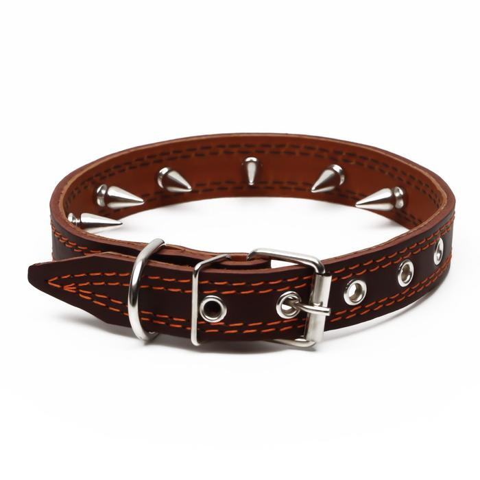 Ошейник кожаный  Ошейник кожаный "Строгий шип", 56 х 2.5 см, ОШ 35-45 см, коричневый