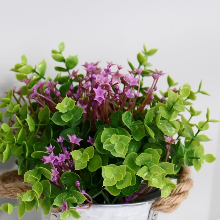 Бонсай в горшке Бонсай в горшке "Гипсофила ползучая" 11х22 см, микс