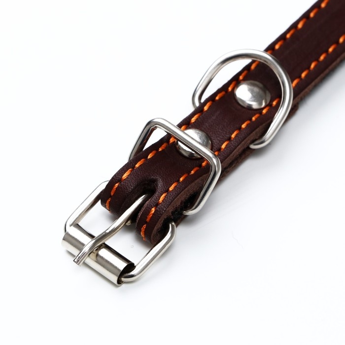 Ошейник кожаный на синтепоне, Ошейник кожаный на синтепоне, "Ёж" 36 х 1.5 см, ОШ 20-30 см, коричневый