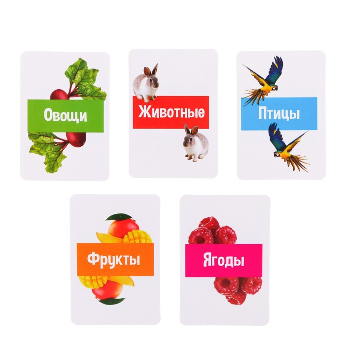 Развивающий набор с молоточками «Карточки Г.Домана» Развивающий набор с молоточками «Карточки Г.Домана»