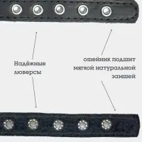 Ошейник, 35&times;1.5 см, с подкладом и светоотражающей лентой, кожа, чёрный