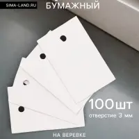 Ценник набор 100 шт. 2.3&times;3.7 см, отверстие 3 мм, белый