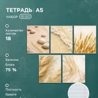 Тетрадь 10 штук, 18 листов в линейку Calligrata &laquo;Бежевая серия&raquo;, серые листы, блок №2, 5 видов