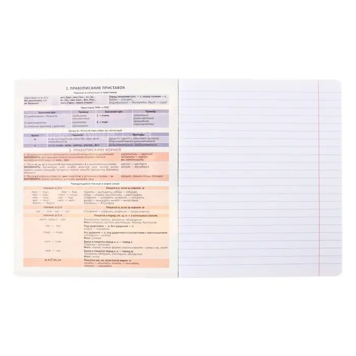 Тетрадь предметная &laquo;Русский язык&raquo;, 36 листов в клетку, ErichKrause Timeline