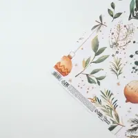 Бумага упаковочная новогодняя &laquo;Веточки зимы&raquo;, белый крафт, 1 лист, 80 г/м&sup2;, 70&times;100 см