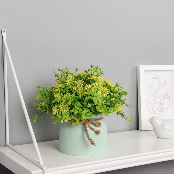 Бонсай в горшке Бонсай в горшке "Очиток комнатный" 17х10 см, микс