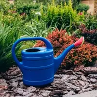 Лейка, 10 л, с рассеивателем, носик d=35 мм, цвет МИКС, &laquo;Классика&raquo;