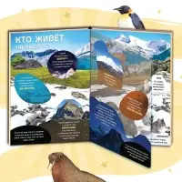 Энциклопедия с прозрачными страницами &laquo;Жизнь на земле. Животные и где они обитают&raquo;, 30 стр.