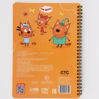 Книга многоразовая &laquo;Изучаем буквы&raquo;, 40 стр., 2 маркера, Три кота