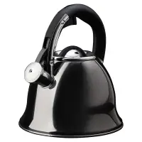 VETTA Чайник стальной 2,6л "Мари", индукция